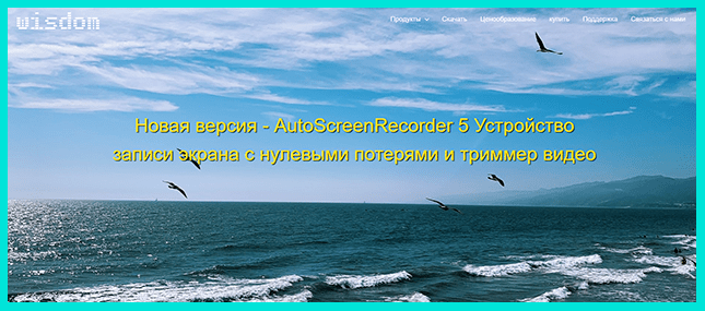 AutoScreemRecorder - приложение для записи стримов