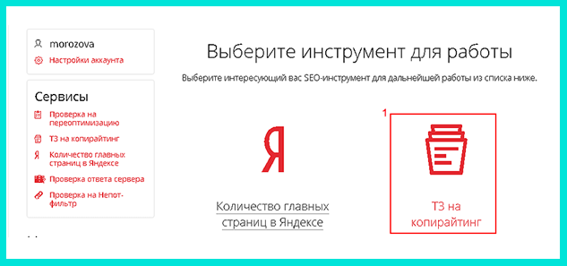 Для составления ТЗ в Пиксел Плюс нажимаем на кнопку ТЗ на копирайтинг