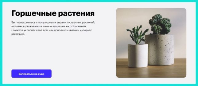 Курс «Горшечные растения» от Skillbox