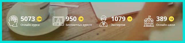 главная страница
