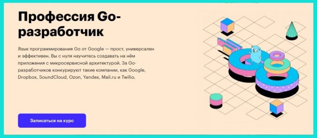обучение go разработчик